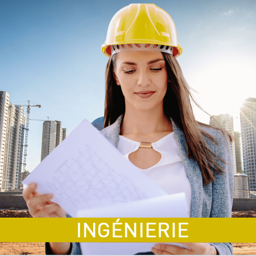 Programmes d'Ingénierie et Innovation à l'UPM